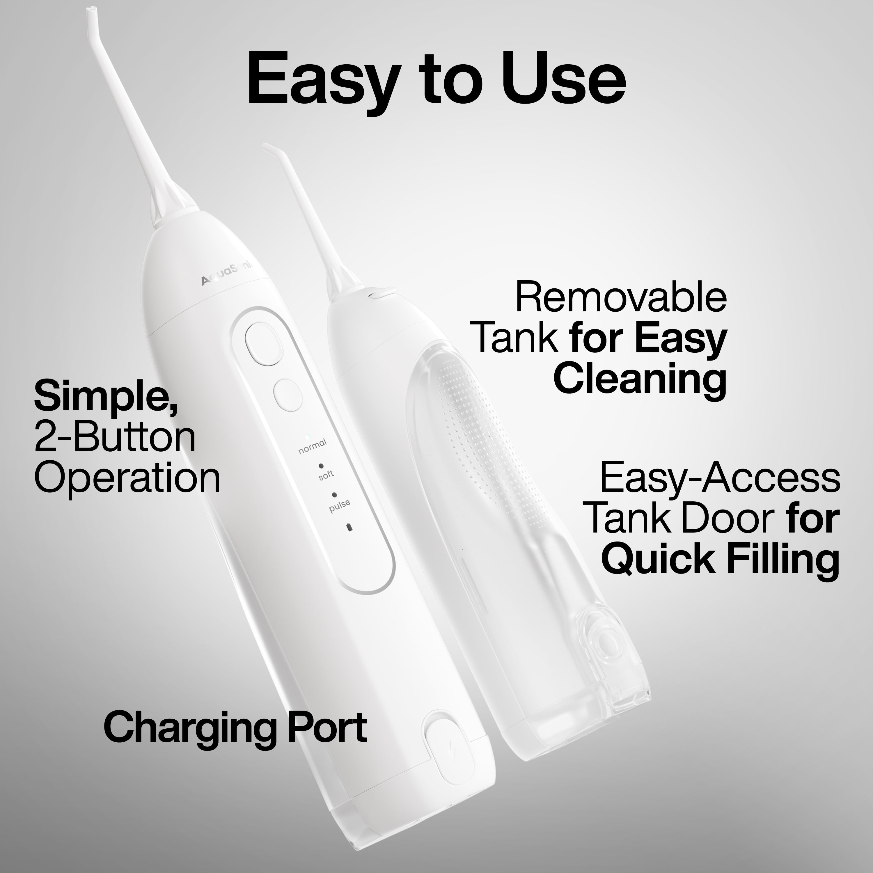 Icon Water Flosser