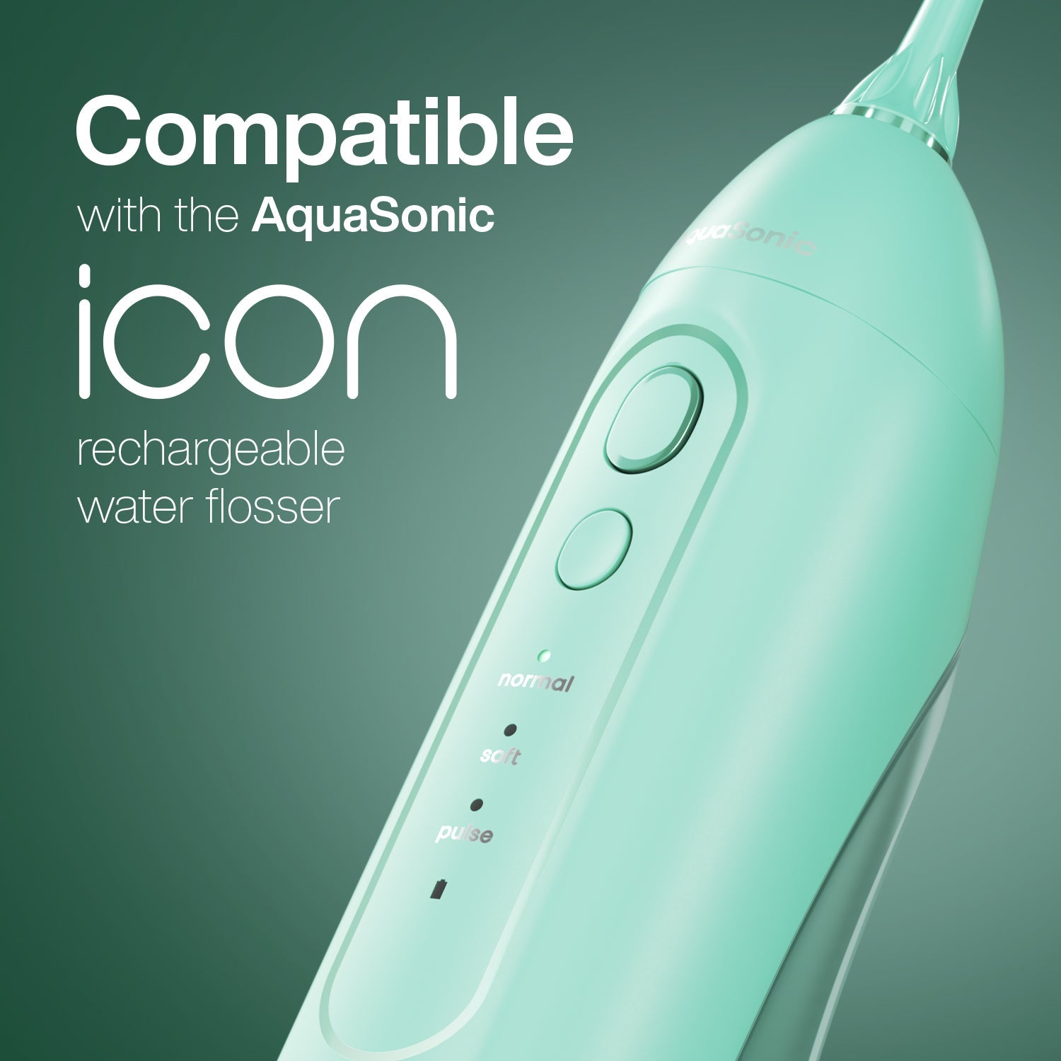 Icon Water Flosser Replacement Tips